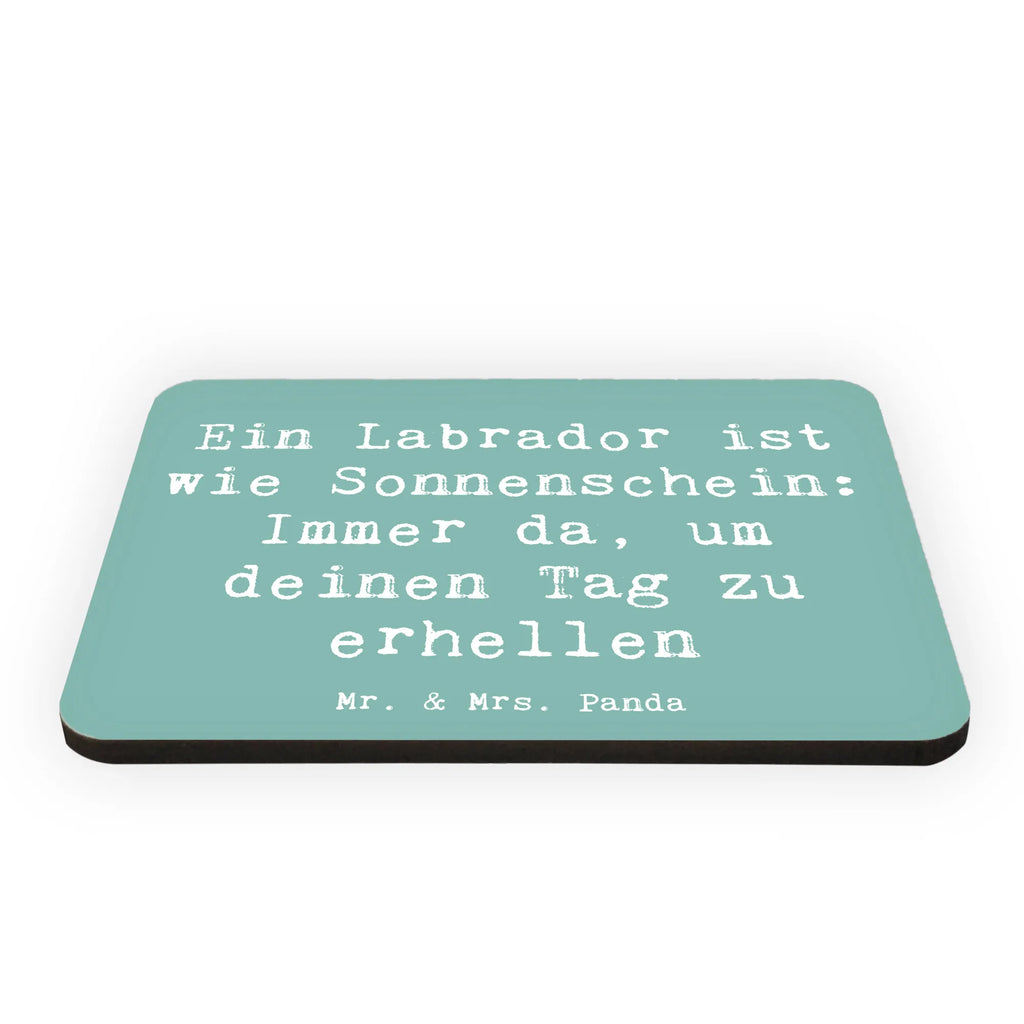 Magnet Spruch Labrador Sonnenschein Notiz Magnet, Dekomagnet, Kühlschrank Dekoration, Pinnwandmagnet, Motivmagnete, Souvenir Magnet, Kühlschrankmagnet, Whiteboard Magnet, Hund, Hunderasse, Rassehund, Hundebesitzer, Geschenk, Tierfreund, Schenken, Welpe