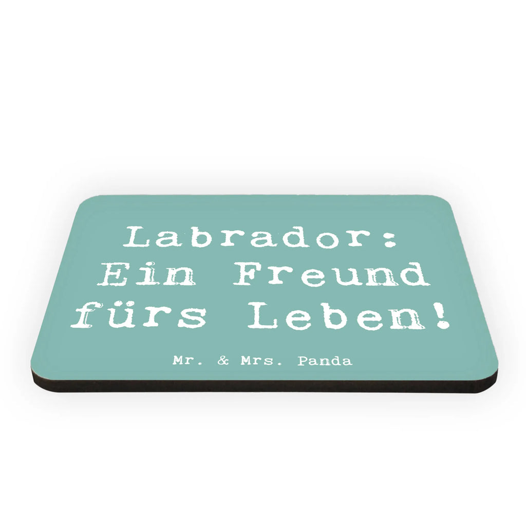 Magnet Spruch Labrador Freund Kühlschrank Dekoration, Whiteboard Magnet, Notiz Magnet, Motivmagnete, Dekomagnet, Kühlschrankmagnet, Souvenir Magnet, Pinnwandmagnet, Hund, Hunderasse, Rassehund, Hundebesitzer, Geschenk, Tierfreund, Schenken, Welpe