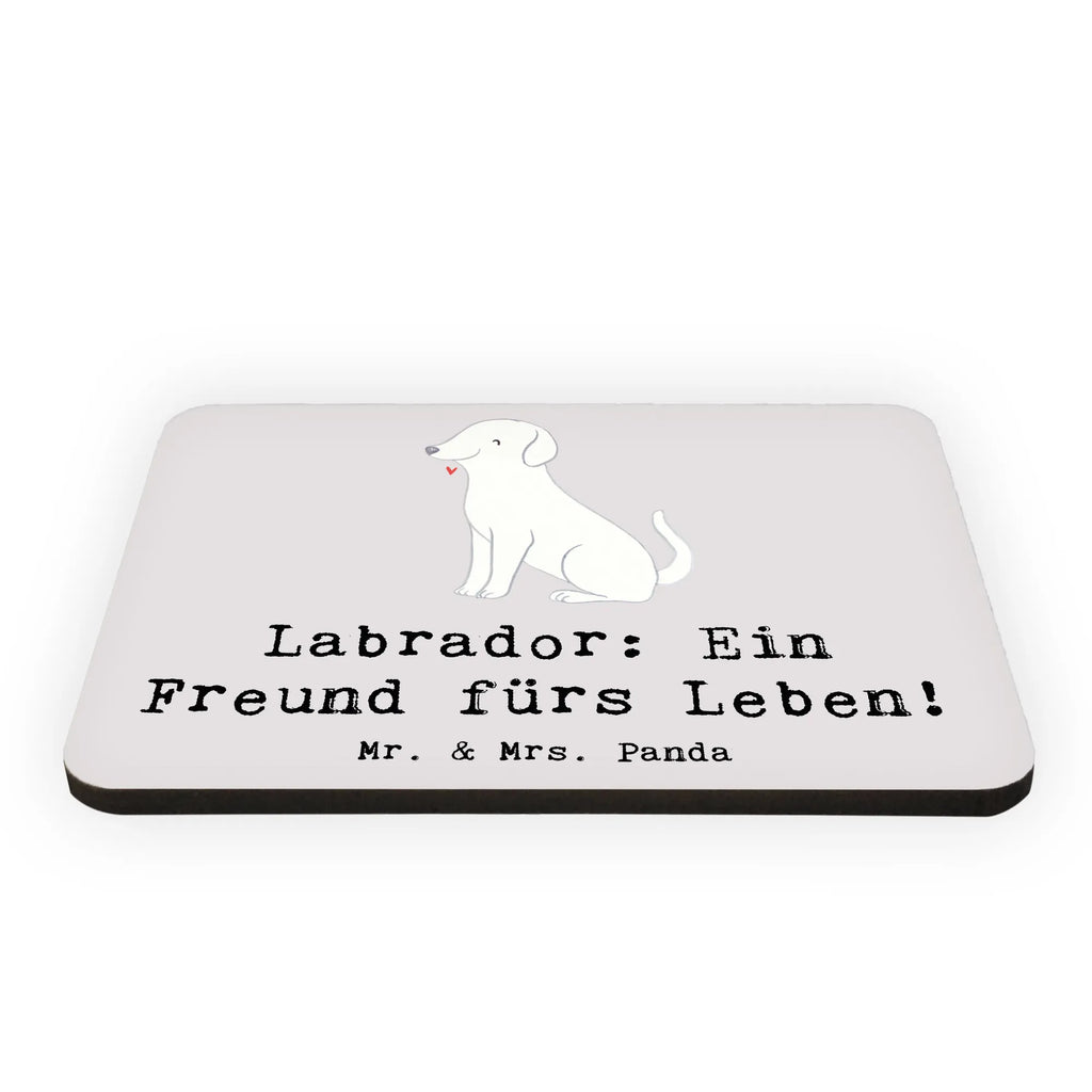 Magnet Labrador Freund Whiteboard Magnet, Notiz Magnet, Kühlschrank Dekoration, Pinnwandmagnet, Dekomagnet, Kühlschrankmagnet, Souvenir Magnet, Motivmagnete, Hund, Hunderasse, Rassehund, Hundebesitzer, Geschenk, Tierfreund, Schenken, Welpe