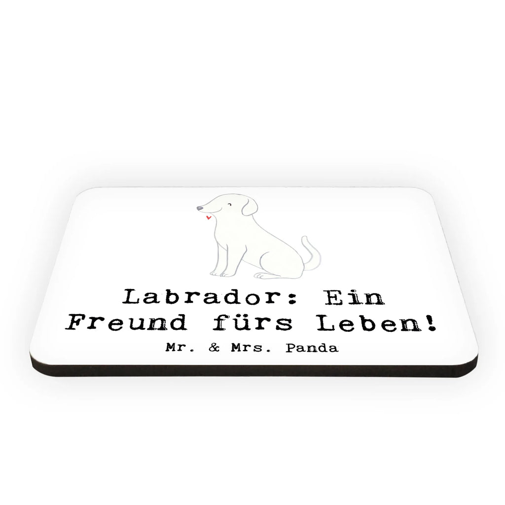 Magnet Labrador Freund Whiteboard Magnet, Notiz Magnet, Kühlschrank Dekoration, Pinnwandmagnet, Dekomagnet, Kühlschrankmagnet, Souvenir Magnet, Motivmagnete, Hund, Hunderasse, Rassehund, Hundebesitzer, Geschenk, Tierfreund, Schenken, Welpe