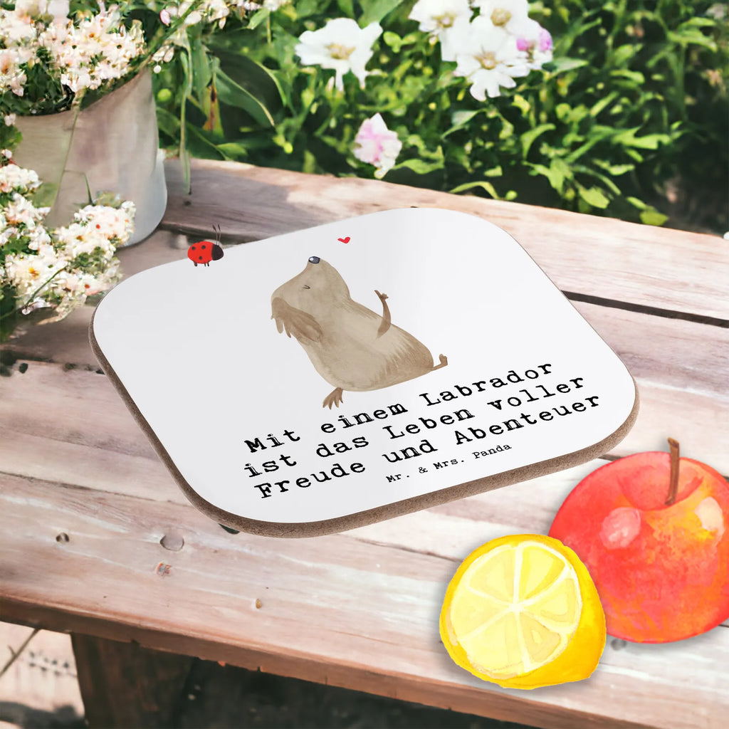 Untersetzer Labradorleben Untersetzer aus Holz, Getränkeuntersetzer, Holzuntersetzer, Untersetzer, Untersetzer Gläser, Bierdeckel, Korkuntersetzer, Untersetzer für Gläser, Untersetzer Design, Glasuntersetzer, Untersetzer Holz, Tassen Untersetzer, Hund, Hunderasse, Rassehund, Hundebesitzer, Geschenk, Tierfreund, Schenken, Welpe