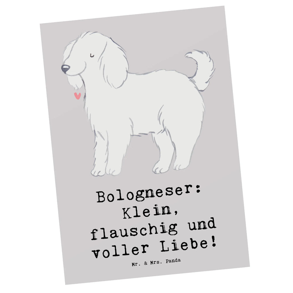 Postcard Bologneser: Klein, flauschig und voller Liebe! Einladung Geburtstag, Ansichtskarten, Einladungskarten Geburtstag, Dankeskarte, Geschenkkarte, Ansichtskarte, Einladungskarte, Karte, Geburtstagskarte, Einladung, Grußkarte, Postkarte, Hund, Hunderasse, Rassehund, Hundebesitzer, Geschenk, Tierfreund, Schenken, Welpe