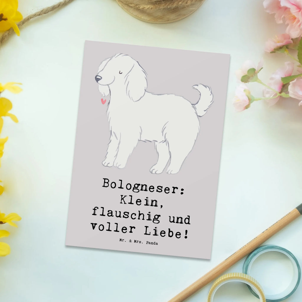 Postcard Bologneser: Klein, flauschig und voller Liebe! Einladung Geburtstag, Ansichtskarten, Einladungskarten Geburtstag, Dankeskarte, Geschenkkarte, Ansichtskarte, Einladungskarte, Karte, Geburtstagskarte, Einladung, Grußkarte, Postkarte, Hund, Hunderasse, Rassehund, Hundebesitzer, Geschenk, Tierfreund, Schenken, Welpe