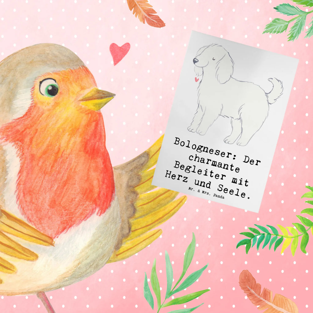 Greetings card Bologneser: Der charmante Begleiter mit Herz und Seele. Einladungskarte, Geburtstagskarte, Klappkarte, Hochzeitskarte, Karte, Glückwunschkarte, Ansichtskarten, Grußkarte, Hund, Hunderasse, Rassehund, Hundebesitzer, Geschenk, Tierfreund, Schenken, Welpe