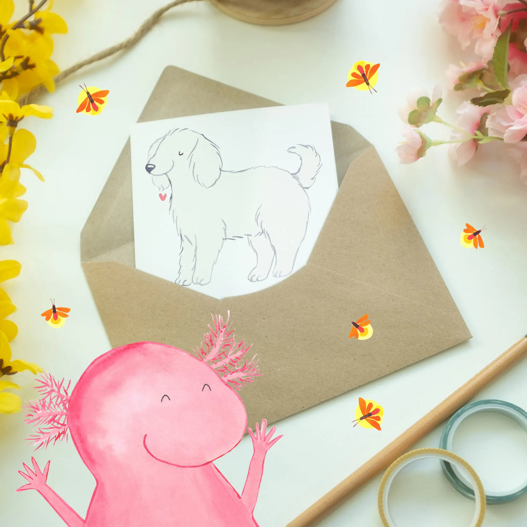 Greetings card Bologneser - Kleine Hunde mit einer großen Persönlichkeit Grußkarte, Glückwunschkarte, Ansichtskarten, Karte, Geburtstagskarte, Klappkarte, Einladungskarte, Hochzeitskarte, Hund, Hunderasse, Rassehund, Hundebesitzer, Geschenk, Tierfreund, Schenken, Welpe