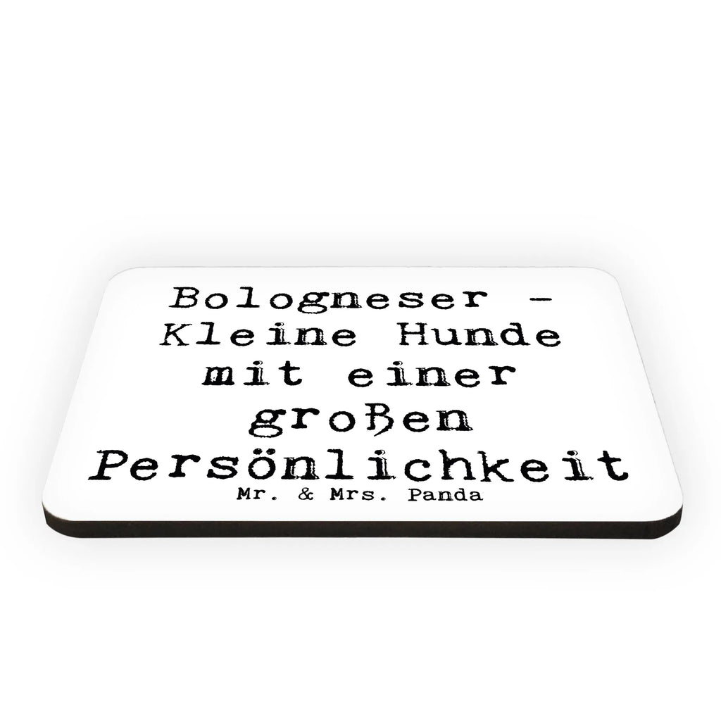 Magnet Saying Bologneser - Kleine Hunde mit einer großen Persönlichkeit Notiz Magnet, Kühlschrankmagnet, Souvenir Magnet, Motivmagnete, Kühlschrank Dekoration, Dekomagnet, Whiteboard Magnet, Pinnwandmagnet, Hund, Hunderasse, Rassehund, Hundebesitzer, Geschenk, Tierfreund, Schenken, Welpe