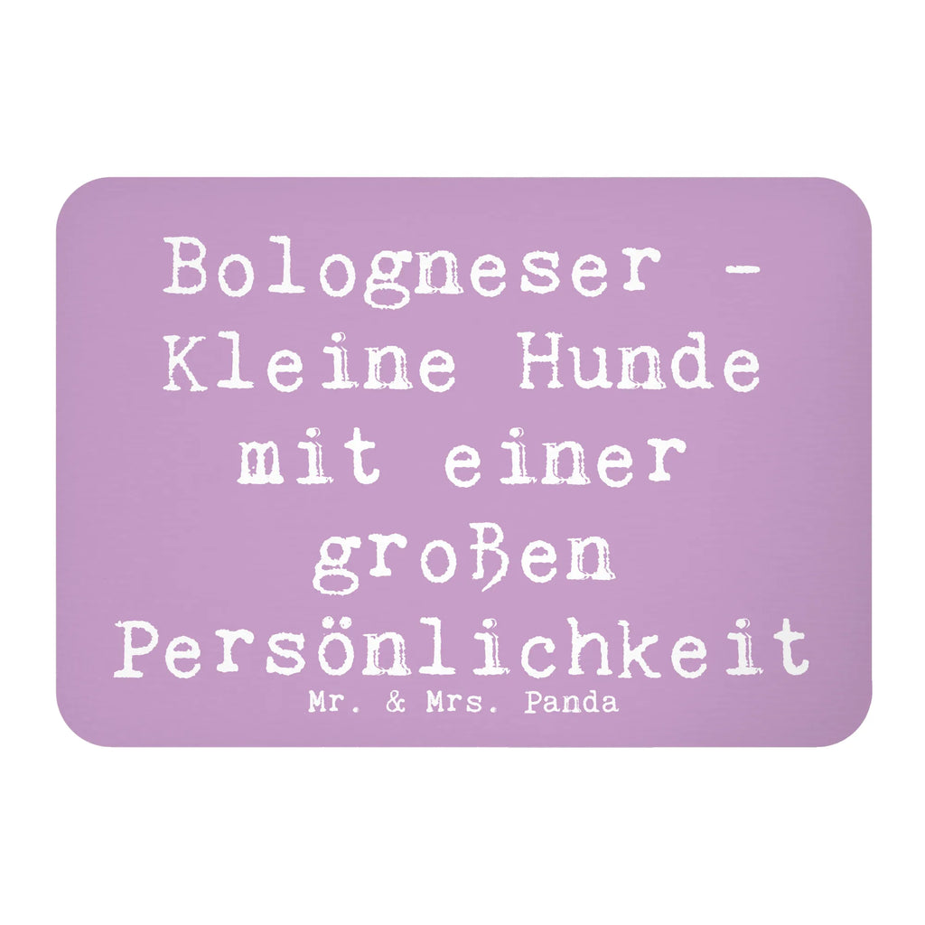 Magnet Saying Bologneser - Kleine Hunde mit einer großen Persönlichkeit Notiz Magnet, Kühlschrankmagnet, Souvenir Magnet, Motivmagnete, Kühlschrank Dekoration, Dekomagnet, Whiteboard Magnet, Pinnwandmagnet, Hund, Hunderasse, Rassehund, Hundebesitzer, Geschenk, Tierfreund, Schenken, Welpe