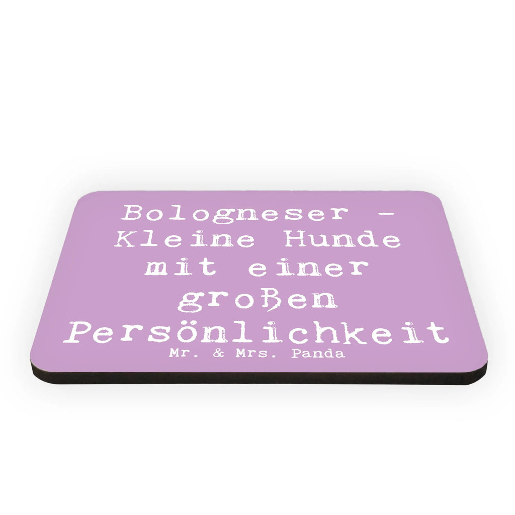 Magnet Saying Bologneser - Kleine Hunde mit einer großen Persönlichkeit Notiz Magnet, Kühlschrankmagnet, Souvenir Magnet, Motivmagnete, Kühlschrank Dekoration, Dekomagnet, Whiteboard Magnet, Pinnwandmagnet, Hund, Hunderasse, Rassehund, Hundebesitzer, Geschenk, Tierfreund, Schenken, Welpe