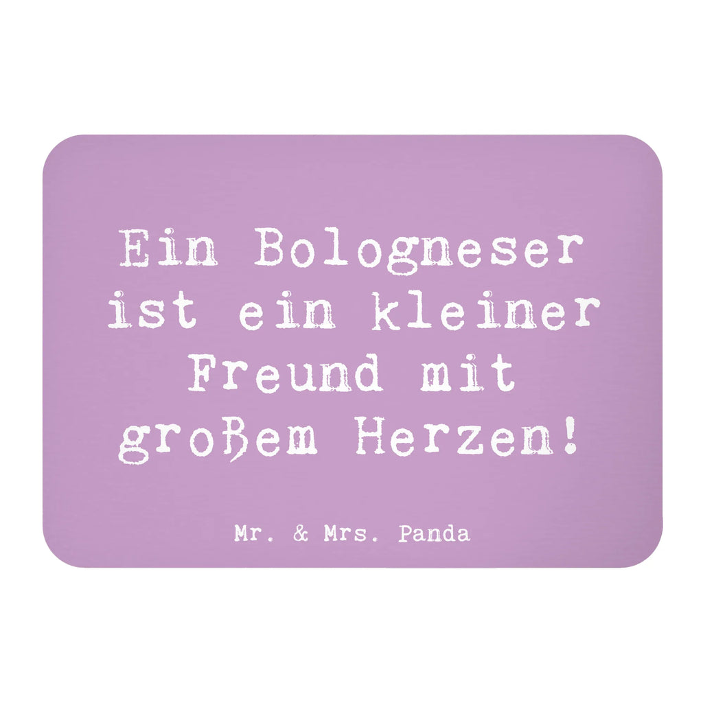 Magnet Saying Ein Bologneser ist ein kleiner Freund mit großem Herzen! Notiz Magnet, Whiteboard Magnet, Kühlschrank Dekoration, Pinnwandmagnet, Dekomagnet, Kühlschrankmagnet, Souvenir Magnet, Motivmagnete, Hund, Hunderasse, Rassehund, Hundebesitzer, Geschenk, Tierfreund, Schenken, Welpe