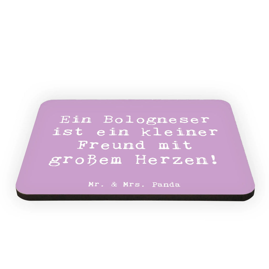 Magnet Saying Ein Bologneser ist ein kleiner Freund mit großem Herzen! Notiz Magnet, Whiteboard Magnet, Kühlschrank Dekoration, Pinnwandmagnet, Dekomagnet, Kühlschrankmagnet, Souvenir Magnet, Motivmagnete, Hund, Hunderasse, Rassehund, Hundebesitzer, Geschenk, Tierfreund, Schenken, Welpe