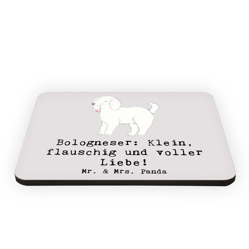 Magnet Bologneser Liebe Motivmagnete, Whiteboard Magnet, Kühlschrankmagnet, Kühlschrank Dekoration, Dekomagnet, Souvenir Magnet, Notiz Magnet, Pinnwandmagnet, Hund, Hunderasse, Rassehund, Hundebesitzer, Geschenk, Tierfreund, Schenken, Welpe