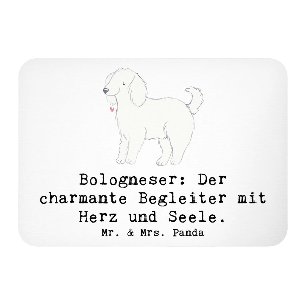Magnet Bologneser: Der charmante Begleiter mit Herz und Seele. Kühlschrankmagnet, Dekomagnet, Motivmagnete, Kühlschrank Dekoration, Notiz Magnet, Whiteboard Magnet, Souvenir Magnet, Pinnwandmagnet, Hund, Hunderasse, Rassehund, Hundebesitzer, Geschenk, Tierfreund, Schenken, Welpe
