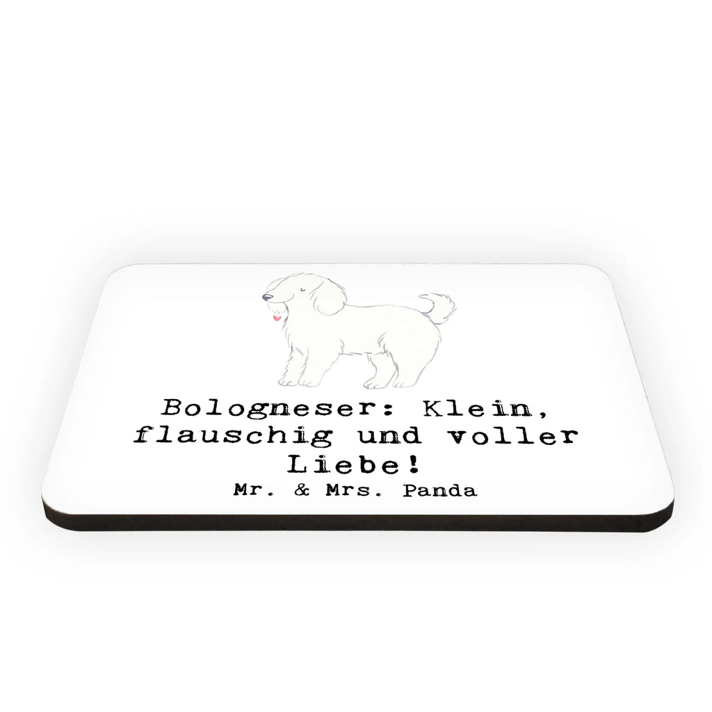 Magnet Bologneser Liebe Motivmagnete, Whiteboard Magnet, Kühlschrankmagnet, Kühlschrank Dekoration, Dekomagnet, Souvenir Magnet, Notiz Magnet, Pinnwandmagnet, Hund, Hunderasse, Rassehund, Hundebesitzer, Geschenk, Tierfreund, Schenken, Welpe