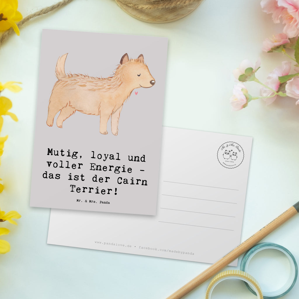 Postkarte Mutiger Cairn Terrier Postkarte, Einladungskarte, Grußkarte, Ansichtskarte, Einladung, Einladungskarten Geburtstag, Karte, Ansichtskarten, Dankeskarte, Geburtstagskarte, Einladung Geburtstag, Geschenkkarte, Hund, Hunderasse, Rassehund, Hundebesitzer, Geschenk, Tierfreund, Schenken, Welpe