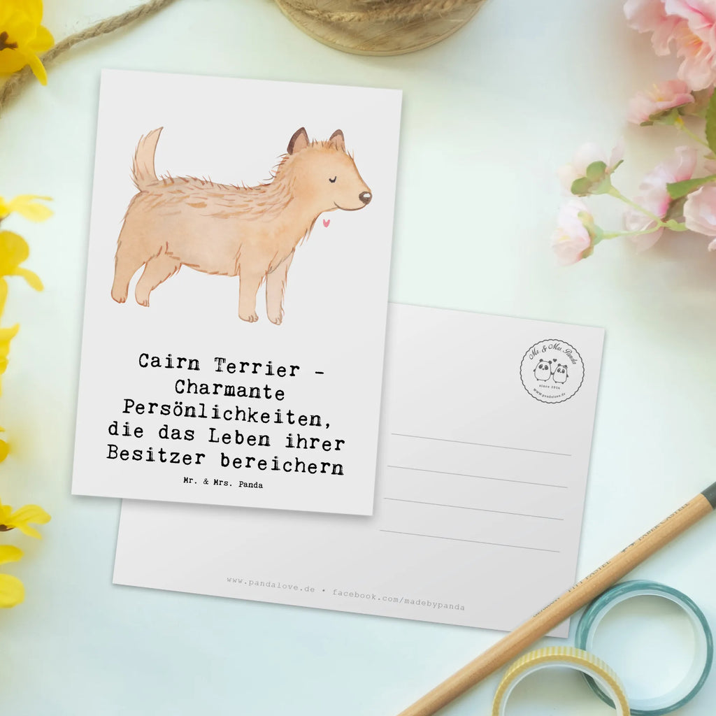 Postkarte Cairn Terrier Geschenkkarte, Karte, Grußkarte, Geburtstagskarte, Ansichtskarten, Postkarte, Dankeskarte, Einladung Geburtstag, Einladung, Ansichtskarte, Einladungskarten Geburtstag, Einladungskarte, Hund, Hunderasse, Rassehund, Hundebesitzer, Geschenk, Tierfreund, Schenken, Welpe