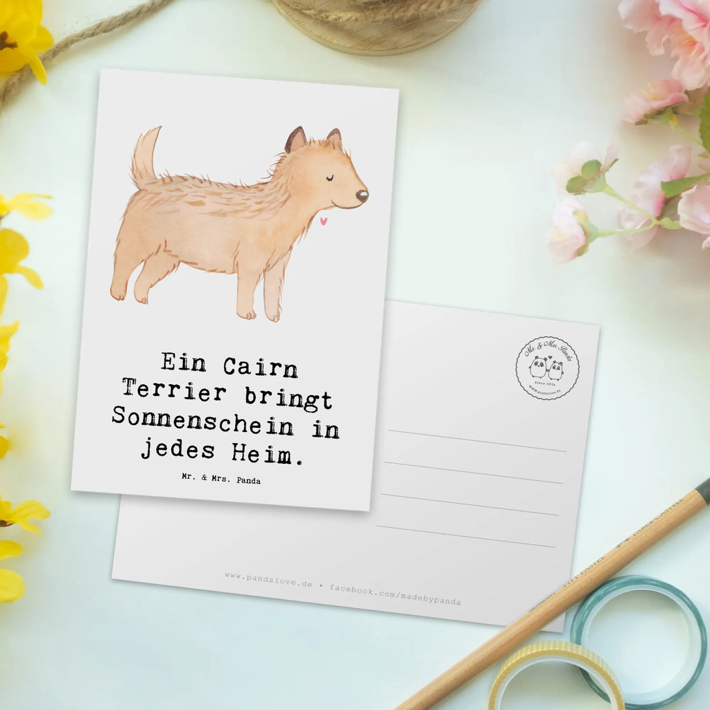 Postkarte Cairn Terrier Glück Ansichtskarten, Einladungskarte, Ansichtskarte, Einladungskarten Geburtstag, Dankeskarte, Karte, Einladung Geburtstag, Einladung, Postkarte, Geburtstagskarte, Geschenkkarte, Grußkarte, Hund, Hunderasse, Rassehund, Hundebesitzer, Geschenk, Tierfreund, Schenken, Welpe