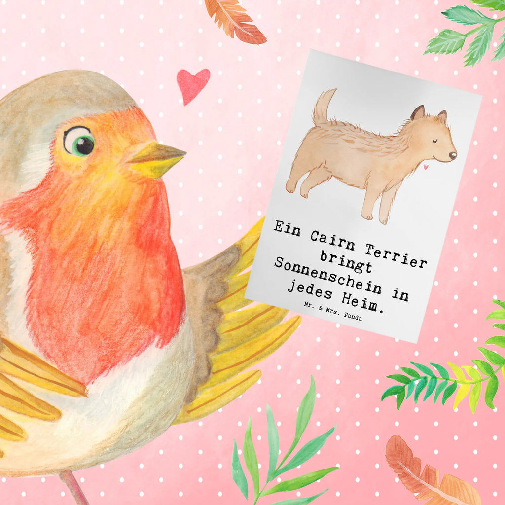Grußkarte Cairn Terrier Glück Karte, Hochzeitskarte, Einladungskarte, Geburtstagskarte, Glückwunschkarte, Ansichtskarten, Grußkarte, Klappkarte, Hund, Hunderasse, Rassehund, Hundebesitzer, Geschenk, Tierfreund, Schenken, Welpe