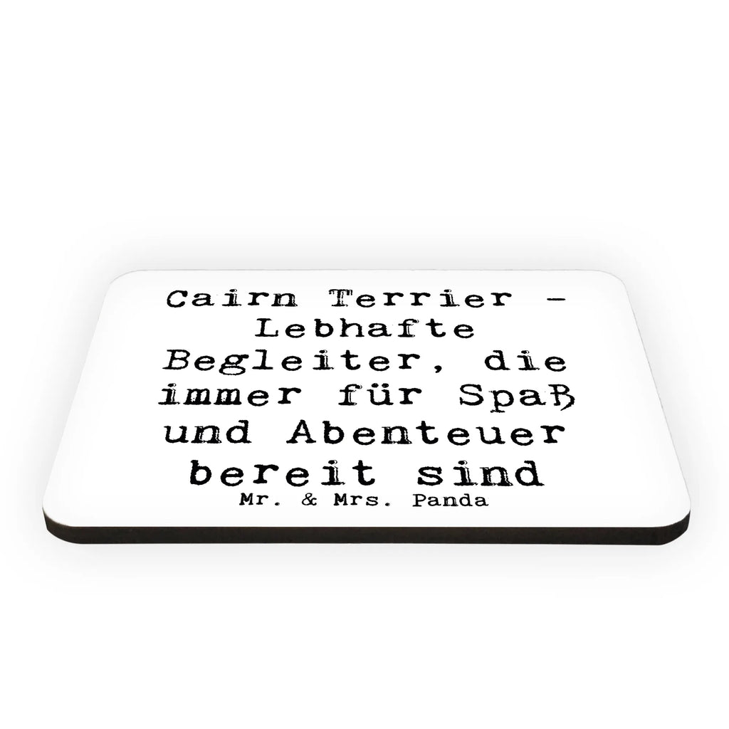 Magnet Spruch Cairn Terrier Begleiter Whiteboard Magnet, Pinnwandmagnet, Dekomagnet, Kühlschrank Dekoration, Souvenir Magnet, Notiz Magnet, Kühlschrankmagnet, Motivmagnete, Hund, Hunderasse, Rassehund, Hundebesitzer, Geschenk, Tierfreund, Schenken, Welpe