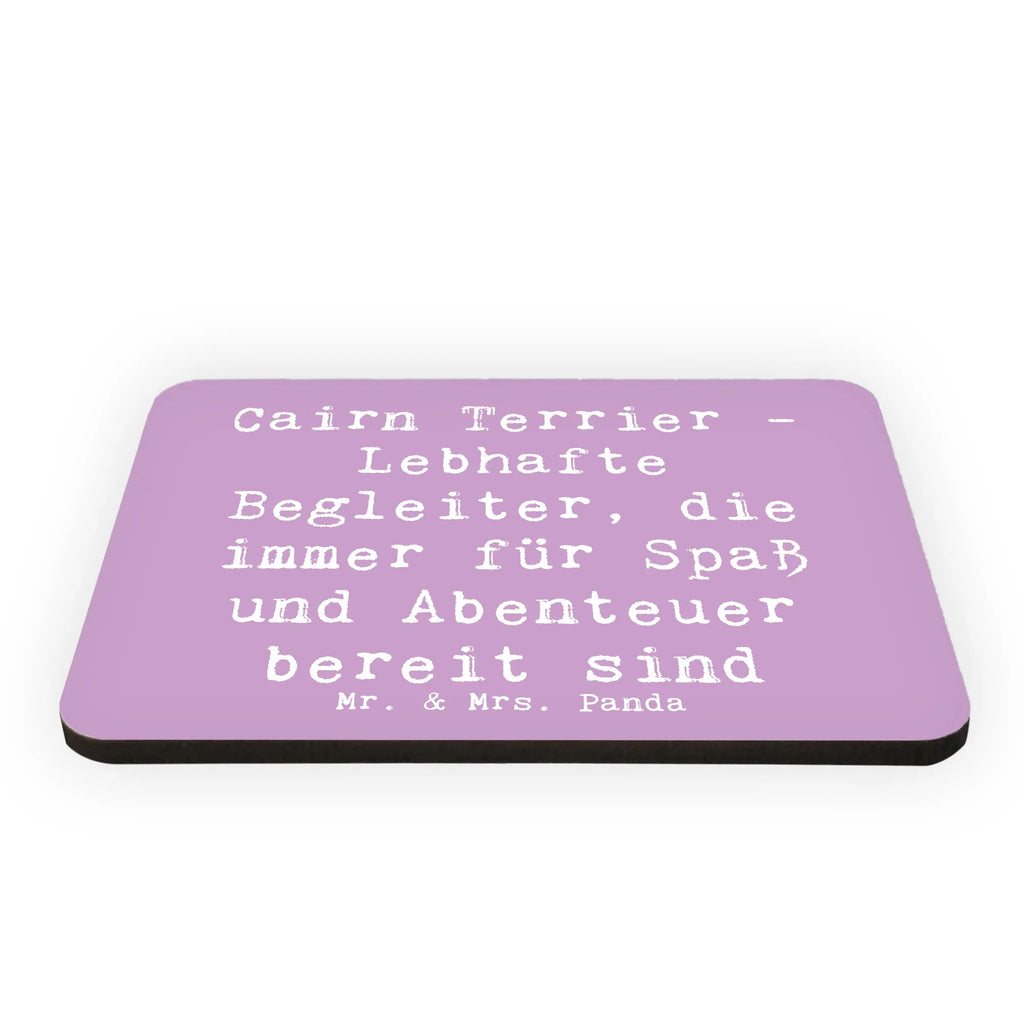 Magnet Spruch Cairn Terrier Begleiter Whiteboard Magnet, Pinnwandmagnet, Dekomagnet, Kühlschrank Dekoration, Souvenir Magnet, Notiz Magnet, Kühlschrankmagnet, Motivmagnete, Hund, Hunderasse, Rassehund, Hundebesitzer, Geschenk, Tierfreund, Schenken, Welpe