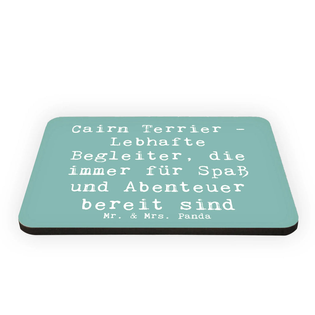 Magnet Spruch Cairn Terrier Begleiter Whiteboard Magnet, Pinnwandmagnet, Dekomagnet, Kühlschrank Dekoration, Souvenir Magnet, Notiz Magnet, Kühlschrankmagnet, Motivmagnete, Hund, Hunderasse, Rassehund, Hundebesitzer, Geschenk, Tierfreund, Schenken, Welpe