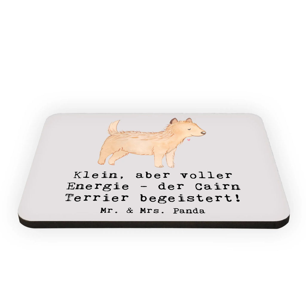 Magnet Klein, aber voller Energie - der Cairn Terrier begeistert! Souvenir Magnet, Kühlschrank Dekoration, Dekomagnet, Pinnwandmagnet, Motivmagnete, Notiz Magnet, Kühlschrankmagnet, Whiteboard Magnet, Hund, Hunderasse, Rassehund, Hundebesitzer, Geschenk, Tierfreund, Schenken, Welpe