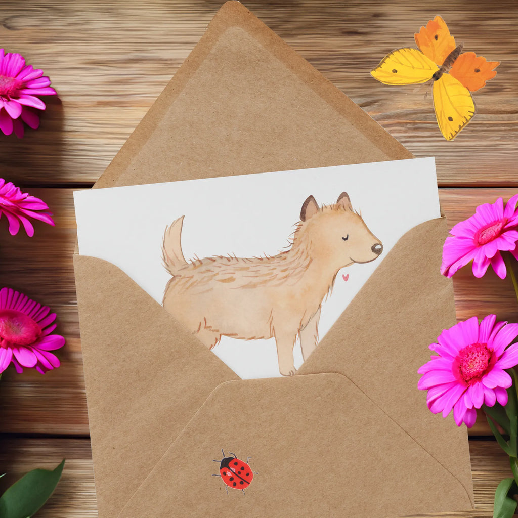 Deluxe Karte Cairn Terrier Karte, Glückwunschkarte, Hochzeitskarte, Einladungskarte, Grußkarte, Hochwertige Klappkarte, Klappkarte, Hochwertige Grußkarte, Geburtstagskarte, Hund, Hunderasse, Rassehund, Hundebesitzer, Geschenk, Tierfreund, Schenken, Welpe