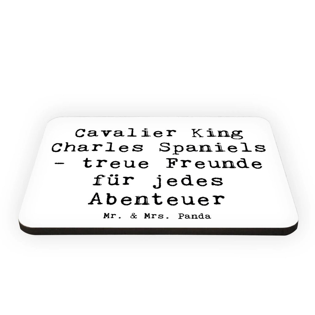 Magnet Spruch Cavalier King Charles Spaniel Freunde Kühlschrankmagnet, Kühlschrank Dekoration, Whiteboard Magnet, Souvenir Magnet, Pinnwandmagnet, Motivmagnete, Dekomagnet, Notiz Magnet, Hund, Hunderasse, Rassehund, Hundebesitzer, Geschenk, Tierfreund, Schenken, Welpe