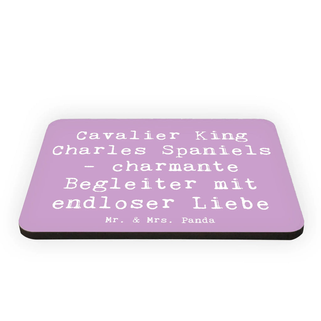 Magnet Spruch Cavalier King Charles Spaniel Begleiter Pinnwandmagnet, Notiz Magnet, Motivmagnete, Dekomagnet, Kühlschrankmagnet, Whiteboard Magnet, Kühlschrank Dekoration, Souvenir Magnet, Hund, Hunderasse, Rassehund, Hundebesitzer, Geschenk, Tierfreund, Schenken, Welpe