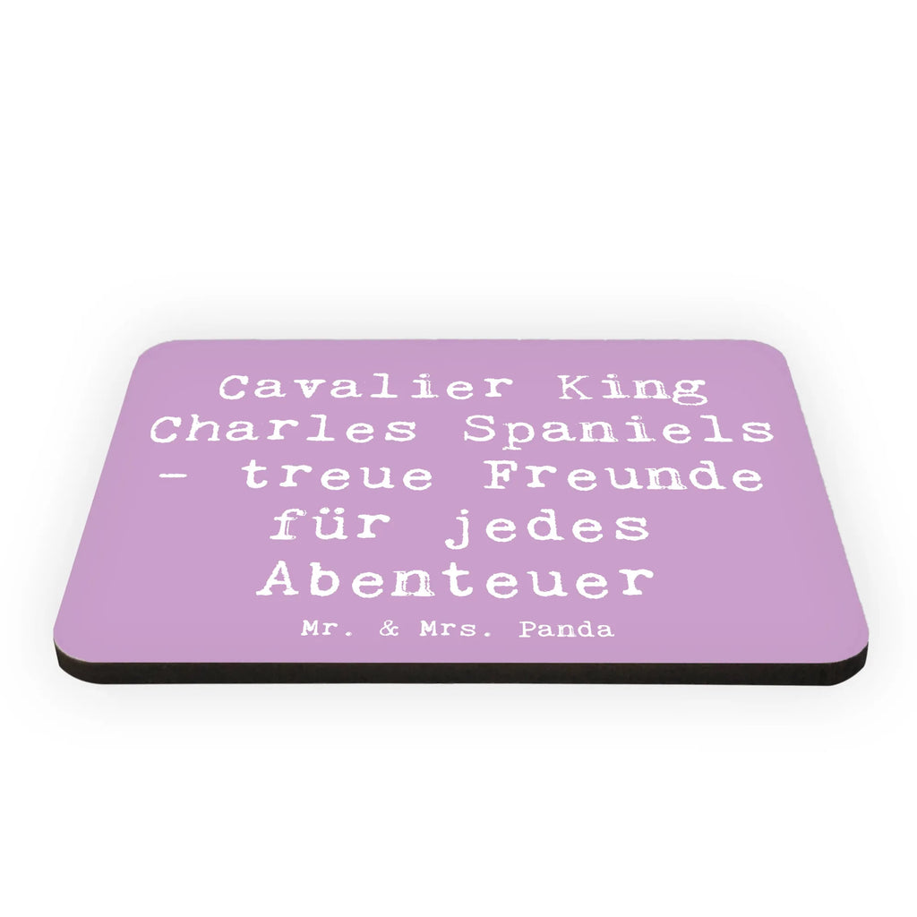 Magnet Spruch Cavalier King Charles Spaniel Freunde Kühlschrankmagnet, Kühlschrank Dekoration, Whiteboard Magnet, Souvenir Magnet, Pinnwandmagnet, Motivmagnete, Dekomagnet, Notiz Magnet, Hund, Hunderasse, Rassehund, Hundebesitzer, Geschenk, Tierfreund, Schenken, Welpe