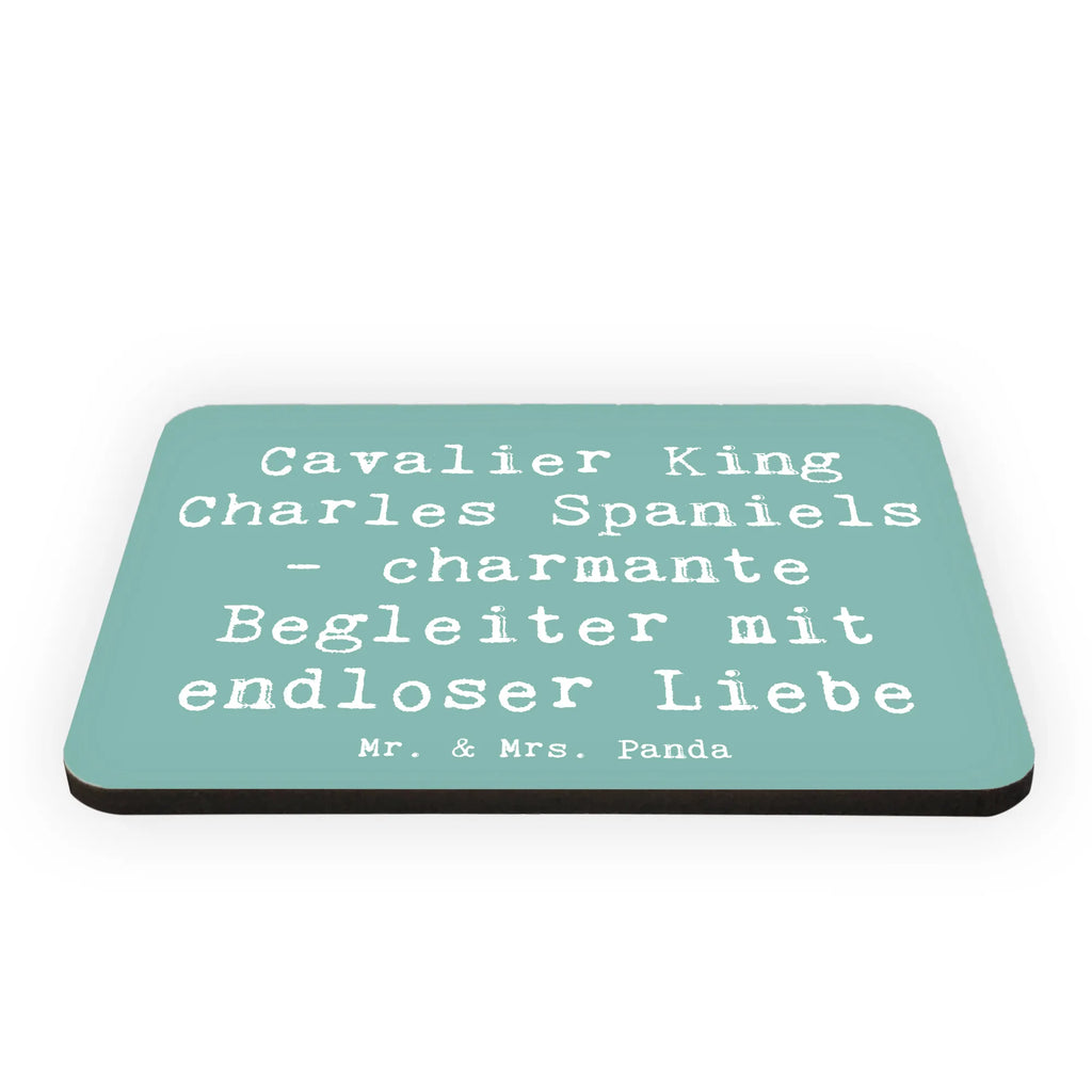 Magnet Spruch Cavalier King Charles Spaniel Begleiter Pinnwandmagnet, Notiz Magnet, Motivmagnete, Dekomagnet, Kühlschrankmagnet, Whiteboard Magnet, Kühlschrank Dekoration, Souvenir Magnet, Hund, Hunderasse, Rassehund, Hundebesitzer, Geschenk, Tierfreund, Schenken, Welpe