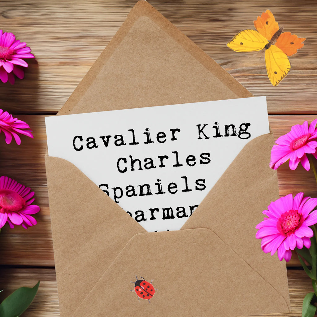 Deluxe Karte Spruch Cavalier King Charles Spaniel Begleiter Geburtstagskarte, Hochzeitskarte, Hochwertige Grußkarte, Grußkarte, Glückwunschkarte, Hochwertige Klappkarte, Karte, Klappkarte, Einladungskarte, Hund, Hunderasse, Rassehund, Hundebesitzer, Geschenk, Tierfreund, Schenken, Welpe
