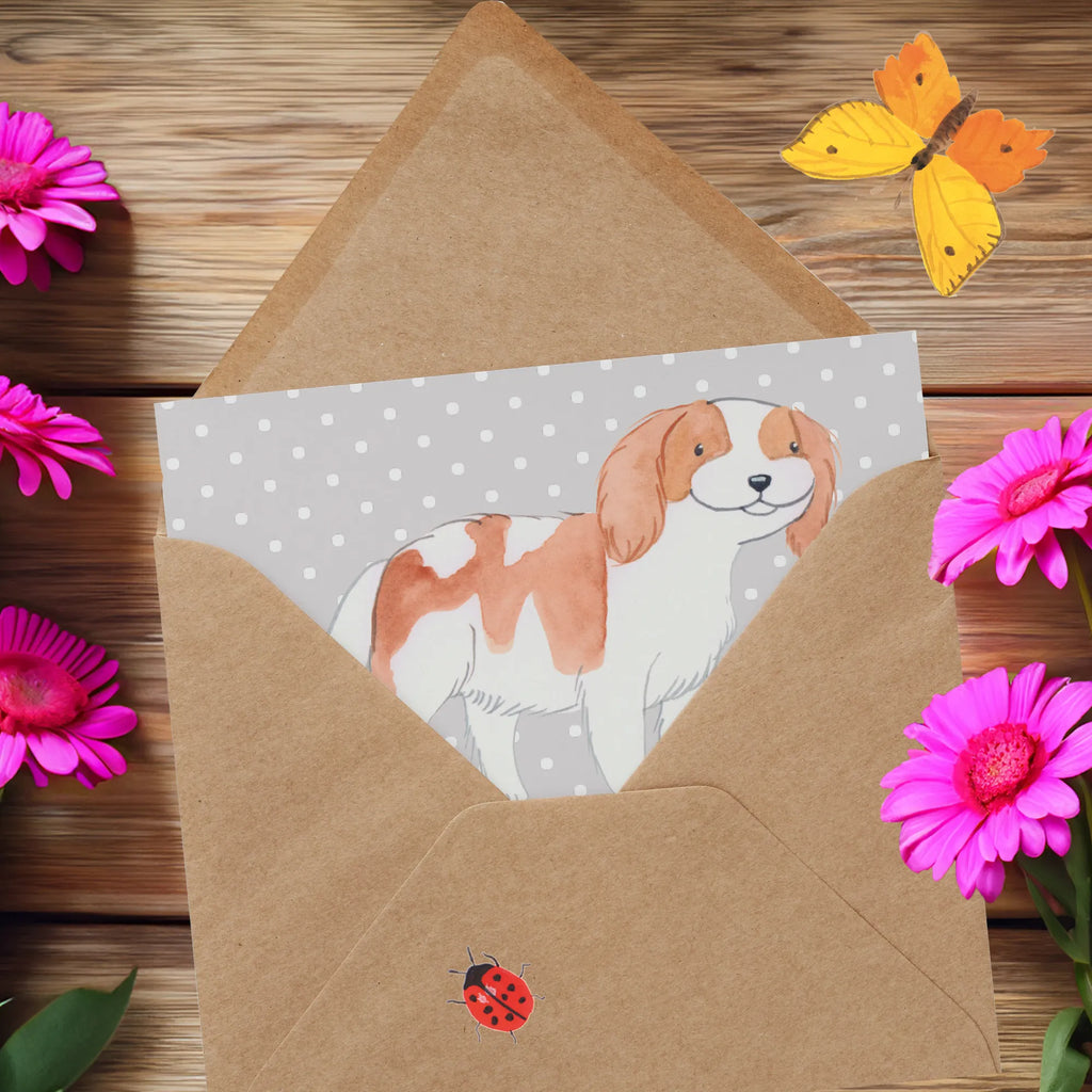 Deluxe Karte Cavalier King Charles Spaniel Freunde Geburtstagskarte, Klappkarte, Hochzeitskarte, Karte, Glückwunschkarte, Einladungskarte, Hochwertige Klappkarte, Grußkarte, Hochwertige Grußkarte, Hund, Hunderasse, Rassehund, Hundebesitzer, Geschenk, Tierfreund, Schenken, Welpe
