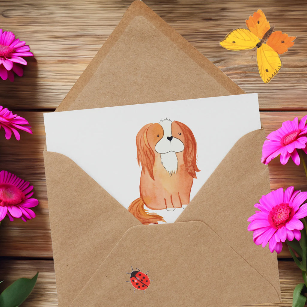Deluxe Card Cavalier King Charles Spaniels - charmante Begleiter mit endloser Liebe Karte, Geburtstagskarte, Klappkarte, Glückwunschkarte, Grußkarte, Hochwertige Grußkarte, Einladungskarte, Hochwertige Klappkarte, Hochzeitskarte, Hund, Hunderasse, Rassehund, Hundebesitzer, Geschenk, Tierfreund, Schenken, Welpe