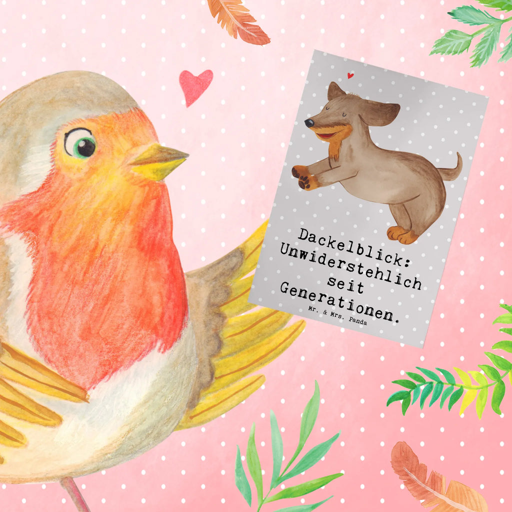 Greetings card Dackelblick: Unwiderstehlich seit Generationen. Ansichtskarten, Karte, Grußkarte, Glückwunschkarte, Geburtstagskarte, Klappkarte, Hochzeitskarte, Einladungskarte, Hund, Hunderasse, Rassehund, Hundebesitzer, Geschenk, Tierfreund, Schenken, Welpe