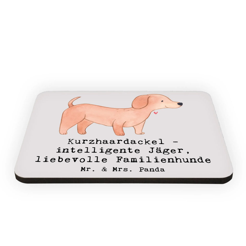 Magnet Kurzhaardackel Liebe Kühlschrank Dekoration, Whiteboard Magnet, Souvenir Magnet, Kühlschrankmagnet, Notiz Magnet, Pinnwandmagnet, Dekomagnet, Motivmagnete, Hund, Hunderasse, Rassehund, Hundebesitzer, Geschenk, Tierfreund, Schenken, Welpe