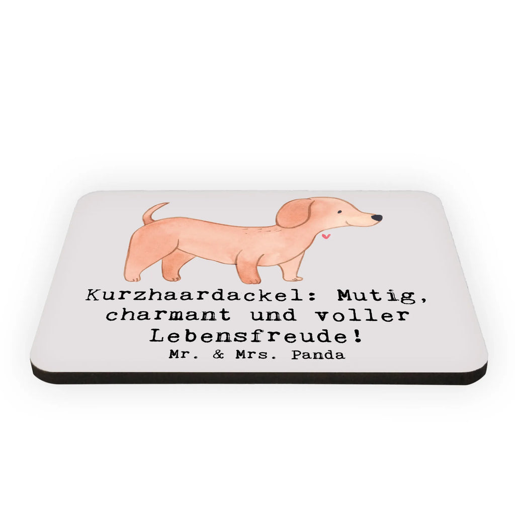 Magnet Kurzhaardackel: Mutig, charmant und voller Lebensfreude! Whiteboard Magnet, Kühlschrank Dekoration, Notiz Magnet, Kühlschrankmagnet, Souvenir Magnet, Motivmagnete, Pinnwandmagnet, Dekomagnet, Hund, Hunderasse, Rassehund, Hundebesitzer, Geschenk, Tierfreund, Schenken, Welpe