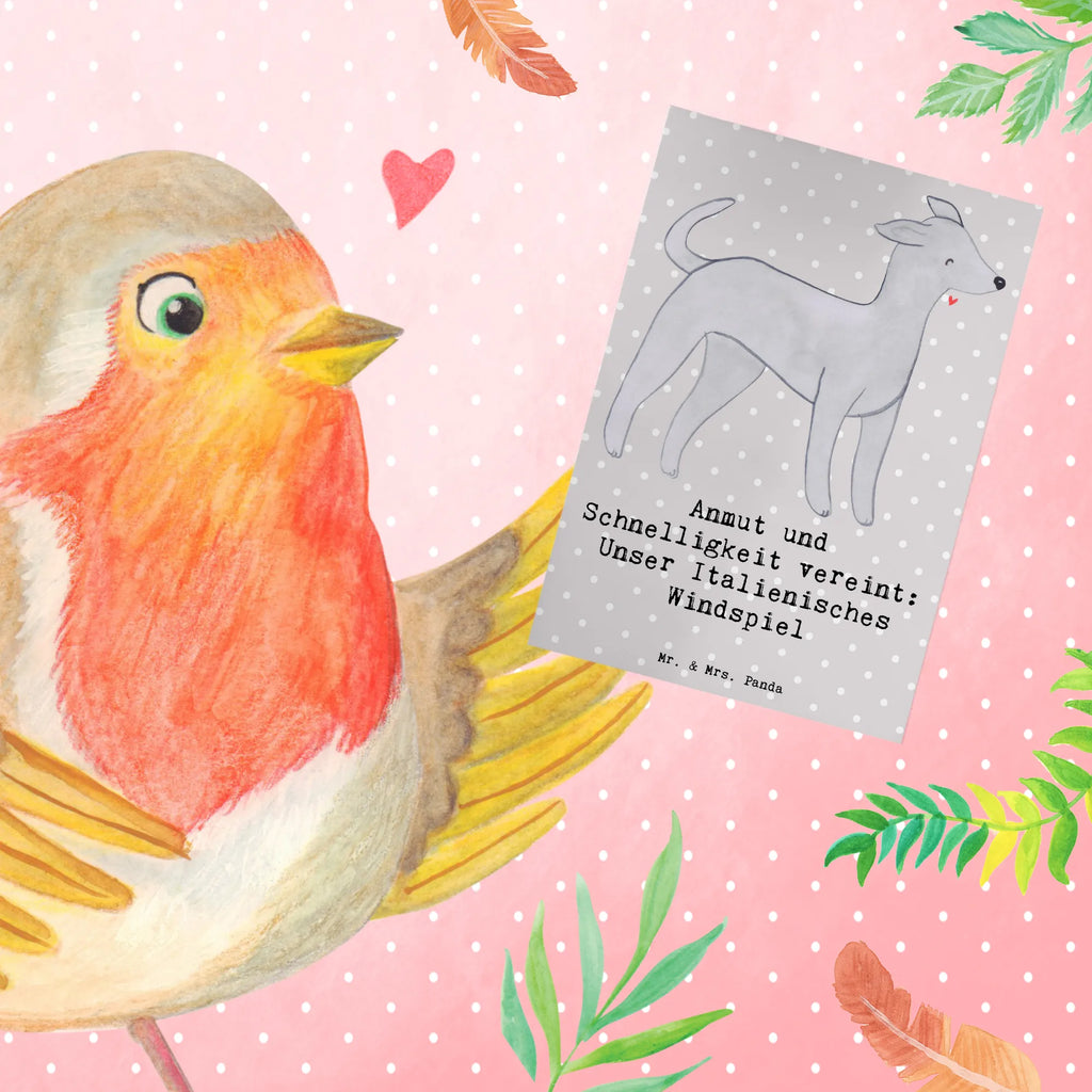 Greetings card Anmut und Schnelligkeit vereint: Unser Italienisches Windspiel Ansichtskarten, Karte, Klappkarte, Grußkarte, Geburtstagskarte, Einladungskarte, Glückwunschkarte, Hochzeitskarte, Hund, Hunderasse, Rassehund, Hundebesitzer, Geschenk, Tierfreund, Schenken, Welpe