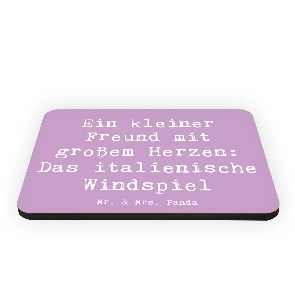 Magnet Saying Ein kleiner Freund mit großem Herzen: Das italienische Windspiel Motivmagnete, Kühlschrankmagnet, Kühlschrank Dekoration, Whiteboard Magnet, Souvenir Magnet, Pinnwandmagnet, Dekomagnet, Notiz Magnet, Hund, Hunderasse, Rassehund, Hundebesitzer, Geschenk, Tierfreund, Schenken, Welpe
