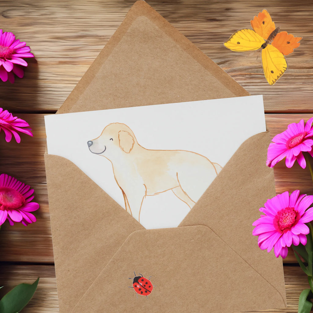 Deluxe Card Für einen Golden Retriever ist jeder Tag ein neues Abenteuer! Grußkarte, Karte, Hochwertige Klappkarte, Einladungskarte, Hochzeitskarte, Hochwertige Grußkarte, Klappkarte, Geburtstagskarte, Glückwunschkarte, Hund, Hunderasse, Rassehund, Hundebesitzer, Geschenk, Tierfreund, Schenken, Welpe