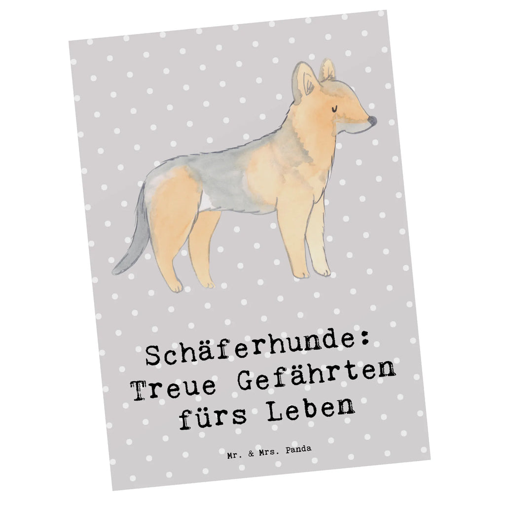 Postcard Schäferhunde: Treue Gefährten fürs Leben bildkarte, Motivkarte, Ansichtskarte, Postkarte, Kunstkarten, Grußkarte, kunstkarte, Ansichtskarten, einzelkarte, Postkarten, Fotokarte, Designkarte, spruchkarte, Geschenk, Schenken, Hund, Hunderasse, Rassehund, Hundebesitzer, Tierfreund, Welpe