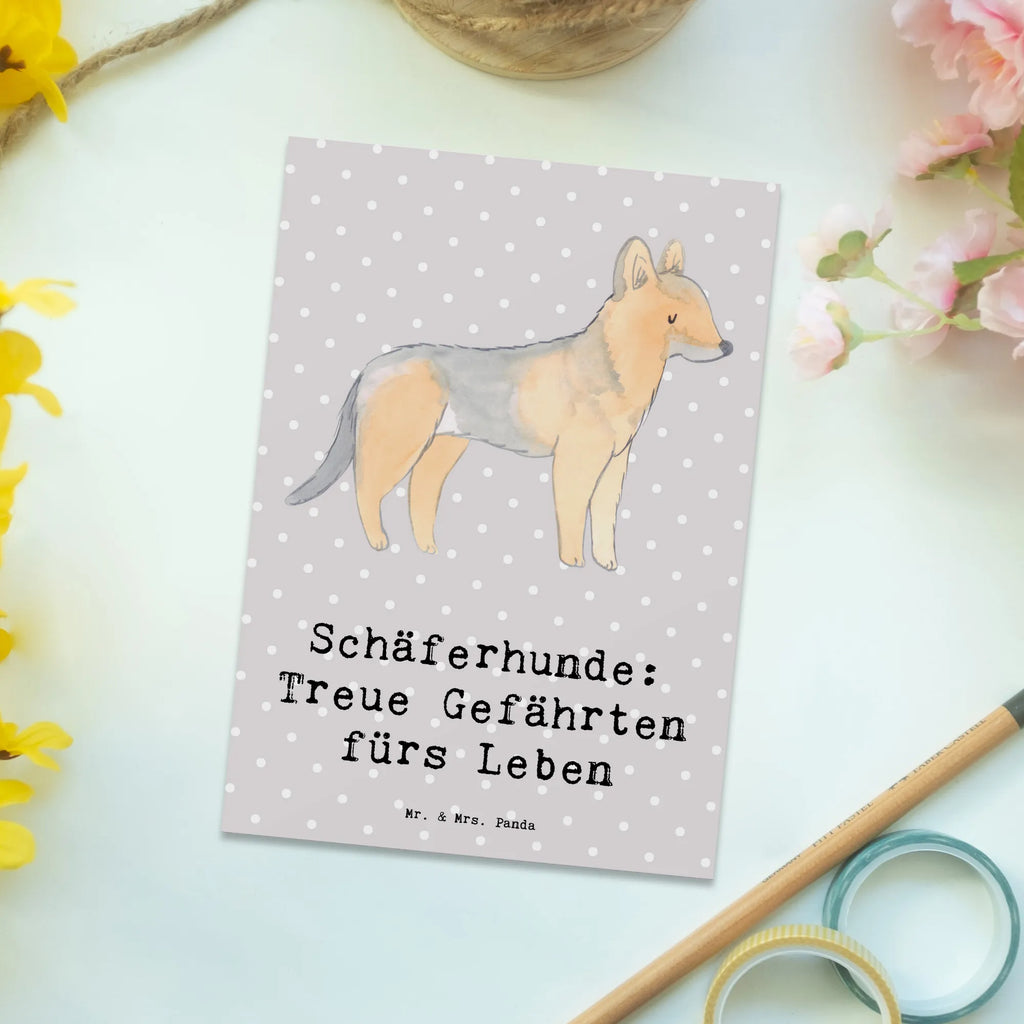 Postcard Schäferhunde: Treue Gefährten fürs Leben bildkarte, Motivkarte, Ansichtskarte, Postkarte, Kunstkarten, Grußkarte, kunstkarte, Ansichtskarten, einzelkarte, Postkarten, Fotokarte, Designkarte, spruchkarte, Geschenk, Schenken, Hund, Hunderasse, Rassehund, Hundebesitzer, Tierfreund, Welpe