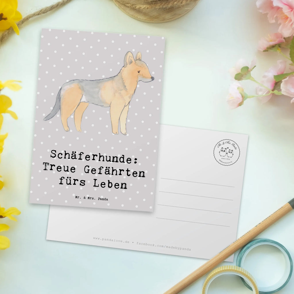 Postcard Schäferhunde: Treue Gefährten fürs Leben bildkarte, Motivkarte, Ansichtskarte, Postkarte, Kunstkarten, Grußkarte, kunstkarte, Ansichtskarten, einzelkarte, Postkarten, Fotokarte, Designkarte, spruchkarte, Geschenk, Schenken, Hund, Hunderasse, Rassehund, Hundebesitzer, Tierfreund, Welpe