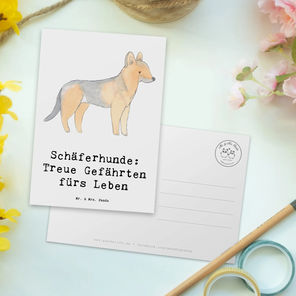 Postcard Schäferhunde: Treue Gefährten fürs Leben bildkarte, Motivkarte, Ansichtskarte, Postkarte, Kunstkarten, Grußkarte, kunstkarte, Ansichtskarten, einzelkarte, Postkarten, Fotokarte, Designkarte, spruchkarte, Geschenk, Schenken, Hund, Hunderasse, Rassehund, Hundebesitzer, Tierfreund, Welpe