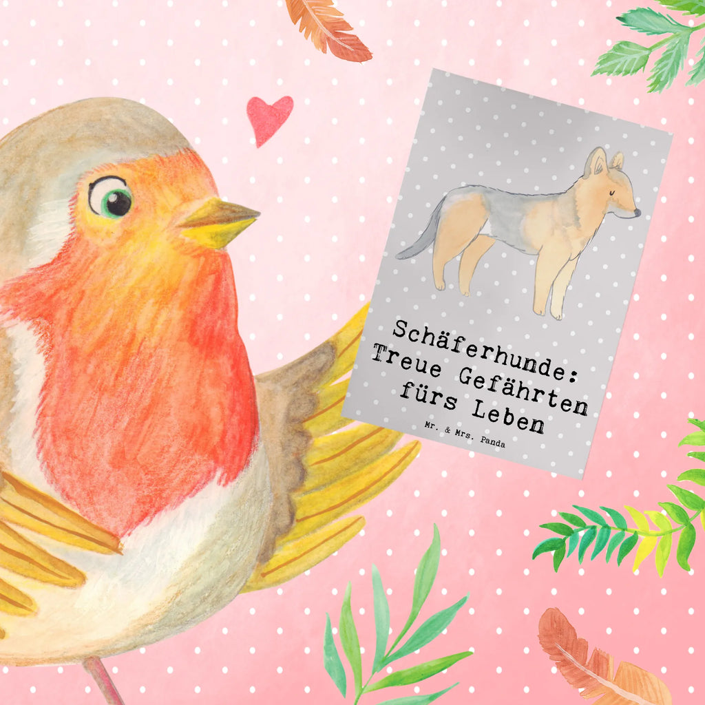 Greetings card Schäferhunde: Treue Gefährten fürs Leben Einladungskarte, Grußkarte, Hochzeitskarte, Karte, Ansichtskarten, Geburtstagskarte, Klappkarte, Glückwunschkarte, Hund, Hunderasse, Rassehund, Hundebesitzer, Geschenk, Tierfreund, Schenken, Welpe