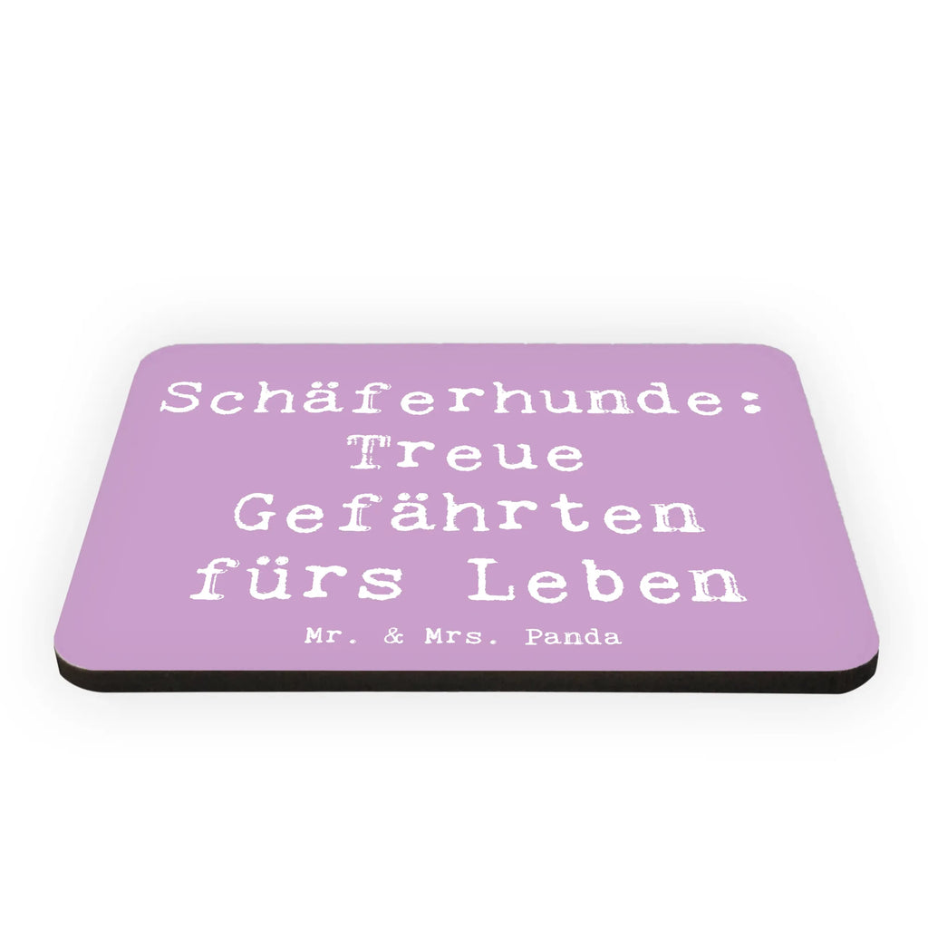 Magnet Spruch Schäferhund Gefährten Motivmagnete, Kühlschrankmagnet, Whiteboard Magnet, Dekomagnet, Souvenir Magnet, Kühlschrank Dekoration, Notiz Magnet, Pinnwandmagnet, Hund, Hunderasse, Rassehund, Hundebesitzer, Geschenk, Tierfreund, Schenken, Welpe
