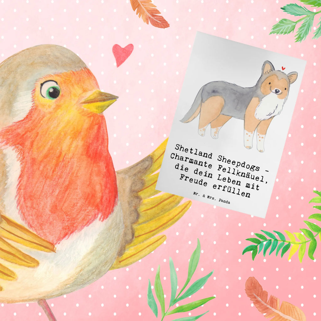 Greetings card Shetland Sheepdogs - Charmante Fellknäuel, die dein Leben mit Freude erfüllen Glückwunschkarte, Einladungskarte, Geburtstagskarte, Ansichtskarten, Grußkarte, Karte, Klappkarte, Hochzeitskarte, Hund, Hunderasse, Rassehund, Hundebesitzer, Geschenk, Tierfreund, Schenken, Welpe
