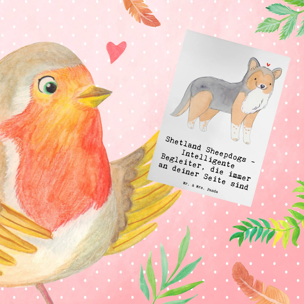 Greetings card Shetland Sheepdogs - Intelligente Begleiter, die immer an deiner Seite sind Karte, Glückwunschkarte, Ansichtskarten, Einladungskarte, Klappkarte, Geburtstagskarte, Hochzeitskarte, Grußkarte, Hund, Hunderasse, Rassehund, Hundebesitzer, Geschenk, Tierfreund, Schenken, Welpe