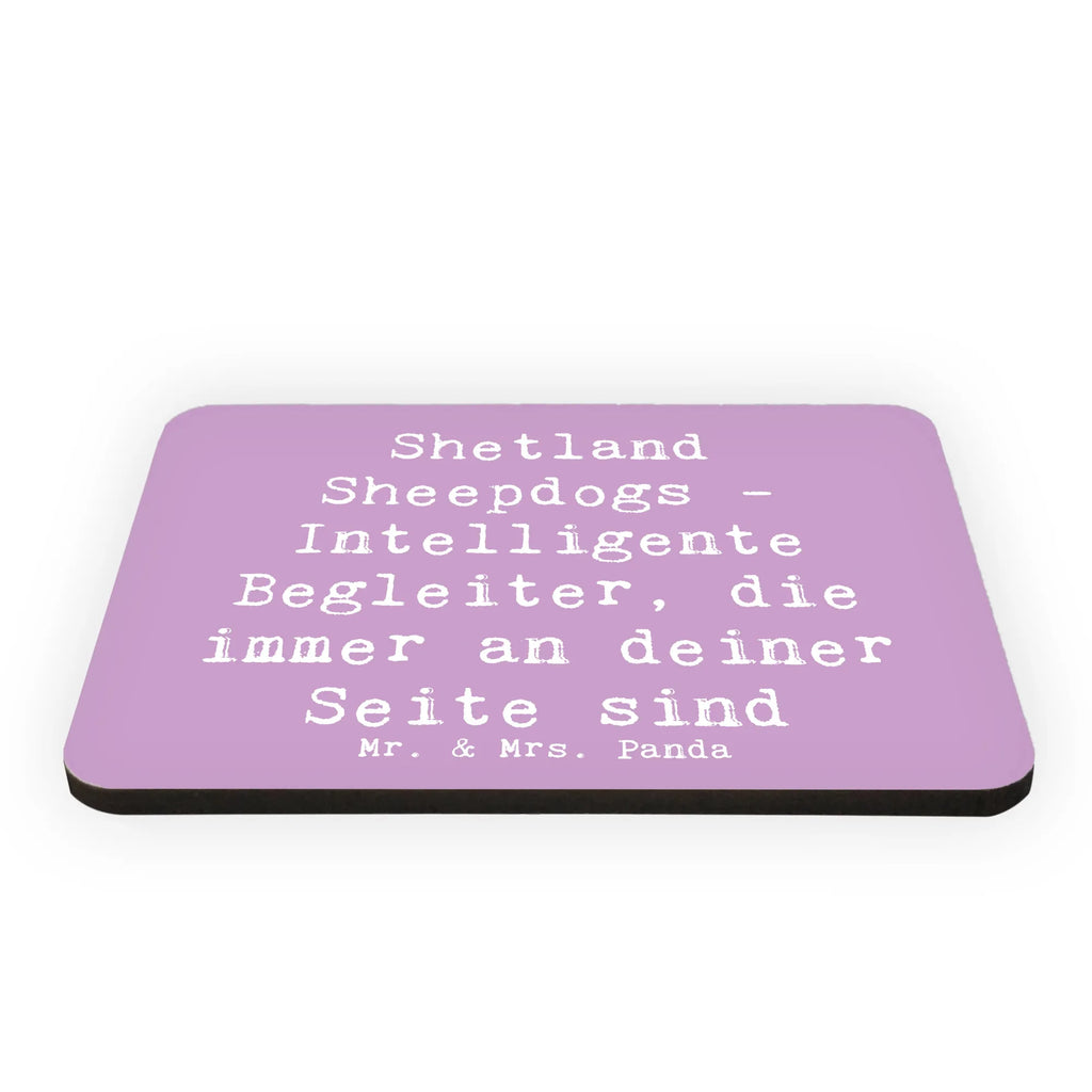 Magnet Spruch Shetland Sheepdog Freund Dekomagnet, Motivmagnete, Kühlschrank Dekoration, Souvenir Magnet, Notiz Magnet, Kühlschrankmagnet, Pinnwandmagnet, Whiteboard Magnet, Hund, Hunderasse, Rassehund, Hundebesitzer, Geschenk, Tierfreund, Schenken, Welpe
