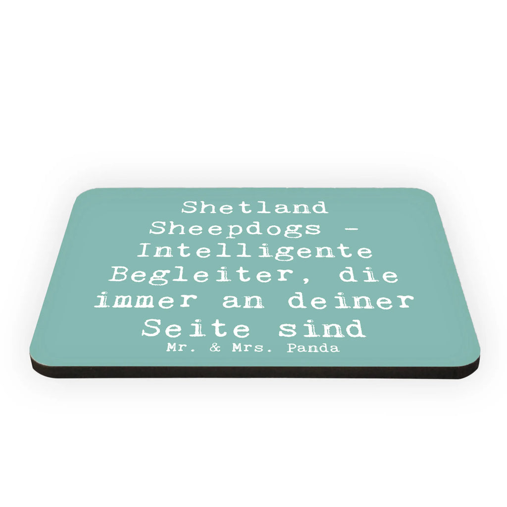 Magnet Spruch Shetland Sheepdog Freund Dekomagnet, Motivmagnete, Kühlschrank Dekoration, Souvenir Magnet, Notiz Magnet, Kühlschrankmagnet, Pinnwandmagnet, Whiteboard Magnet, Hund, Hunderasse, Rassehund, Hundebesitzer, Geschenk, Tierfreund, Schenken, Welpe