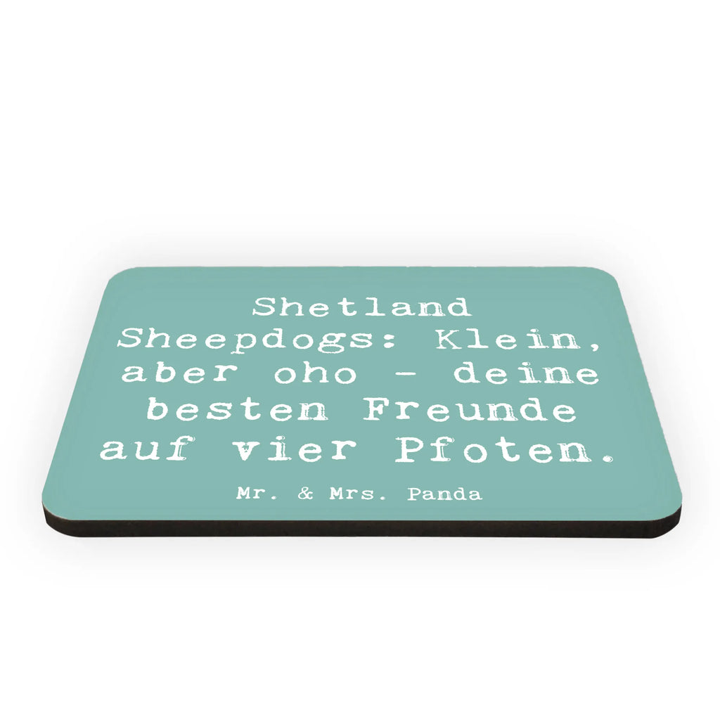 Magnet Spruch Shetland Sheepdog Freunde Notiz Magnet, Pinnwandmagnet, Dekomagnet, Kühlschrankmagnet, Kühlschrank Dekoration, Whiteboard Magnet, Motivmagnete, Souvenir Magnet, Hund, Hunderasse, Rassehund, Hundebesitzer, Geschenk, Tierfreund, Schenken, Welpe
